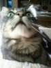 pipruby avatar