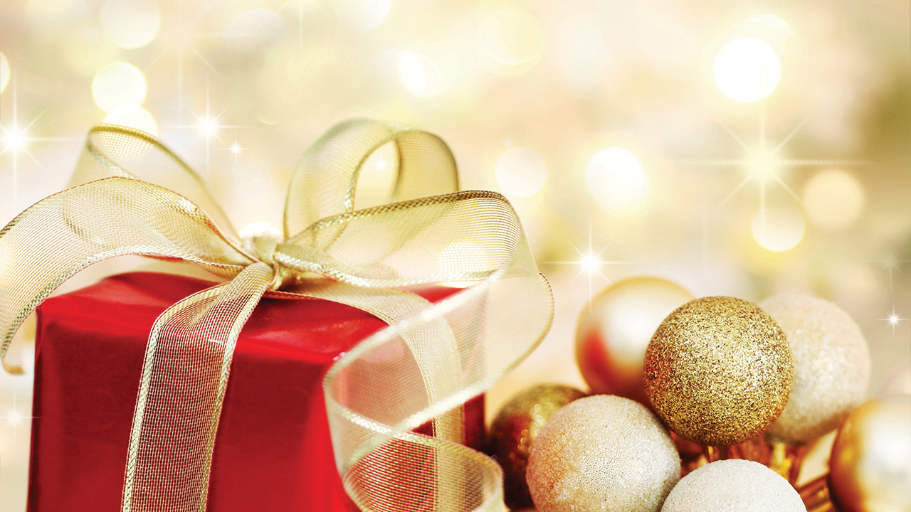Holiday Gift Tips: Best Gift Ideas for Seniors-Image