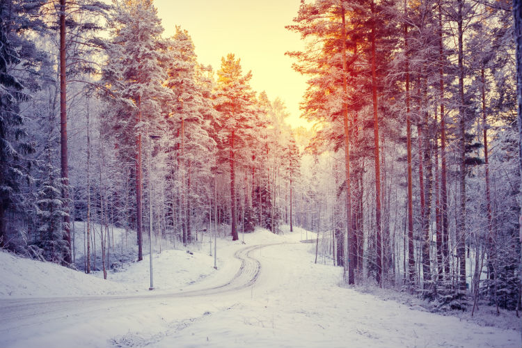 Seasonal Depression in the Elderly-Image